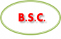 B Stabilini & Co Limited logo